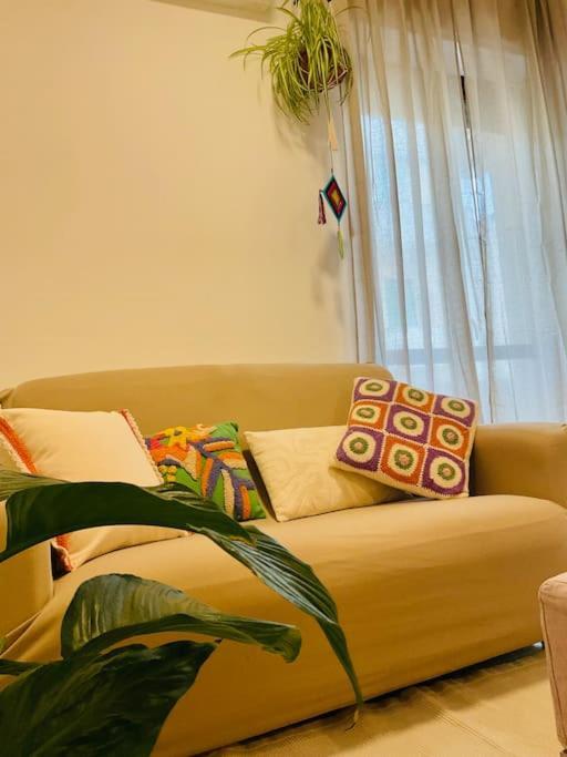 Casa Oliva ألغيرو المظهر الخارجي الصورة